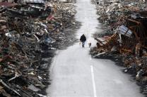 A man walks with his dog at a destroyed residential area of Kesennuma, Miyagi Prefecture, March 22, 2011, nearly two weeks after the area was devastated by a magnitude 9.0 earthquake and tsunami. REUTERS/Issei Kato